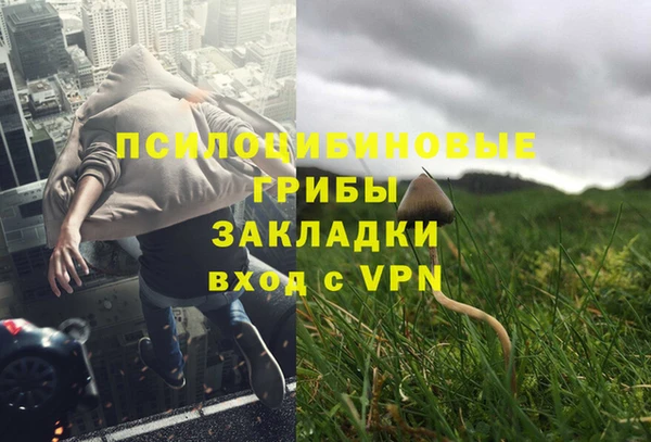 мяу мяу кристалл Горняк