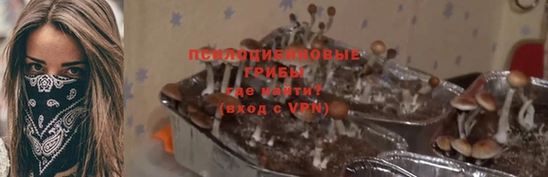 хмурый Горнозаводск