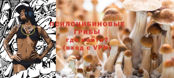 хмурый Горнозаводск