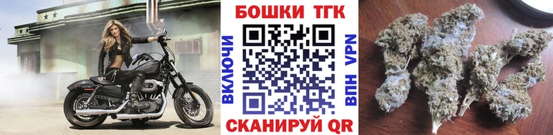 Бошки Шишки семена  Пионерский 